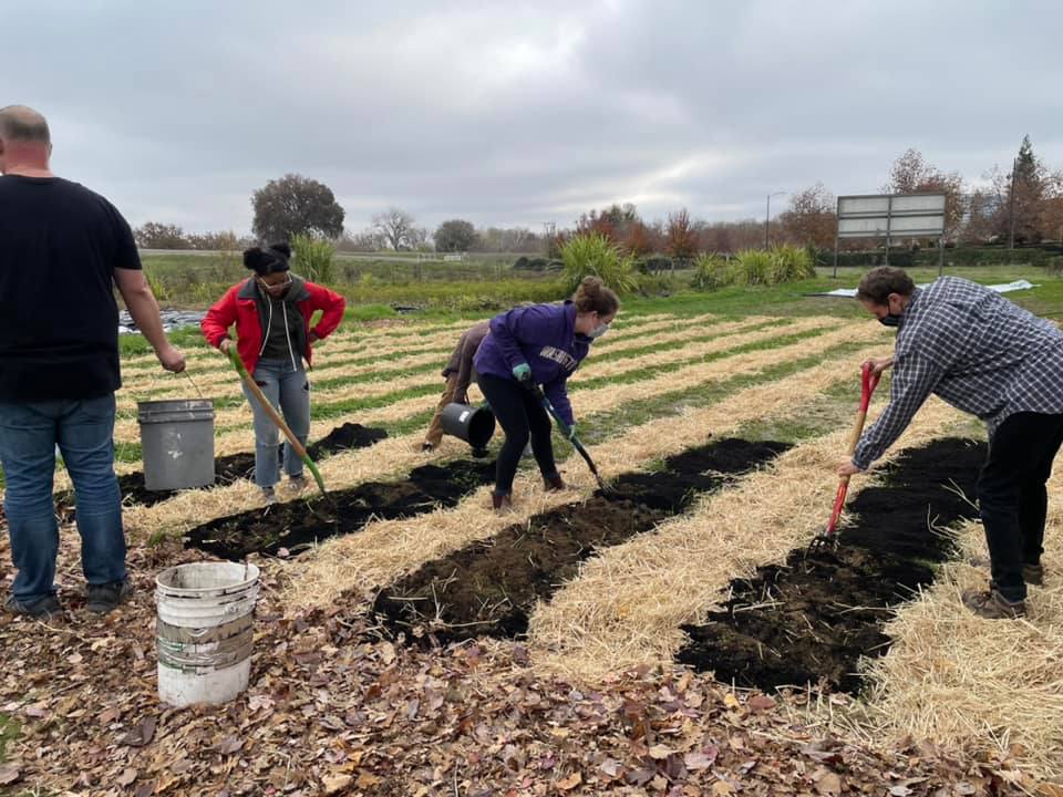 Volunteers working on NCR's urban farm.