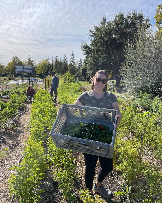 A volunteer carrying a box of produce at the NCR farm.