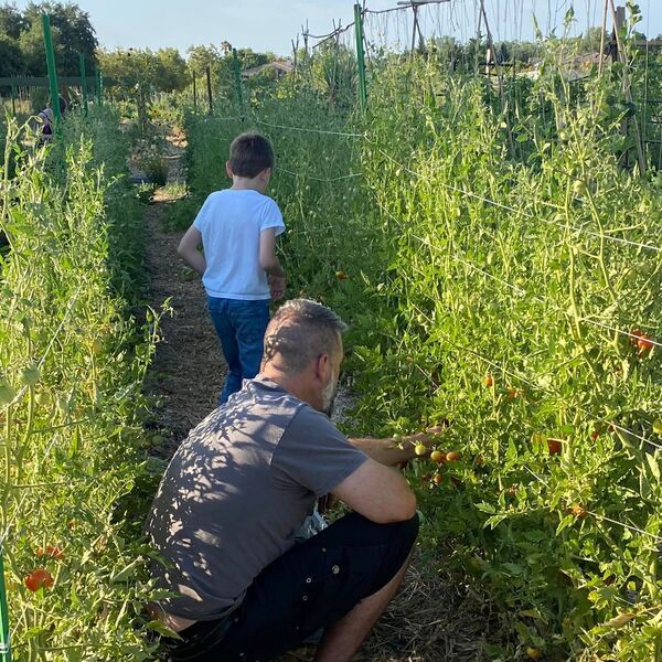 A father and son picking produce together.